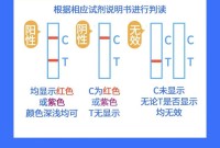 抗原检测（抗原检测阳性说明什么）