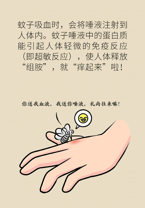 蚊子唾液检测法（蚊子唾液有毒吗）