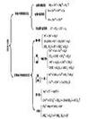 关于BF.7与BA.5重复感染间隔的信息