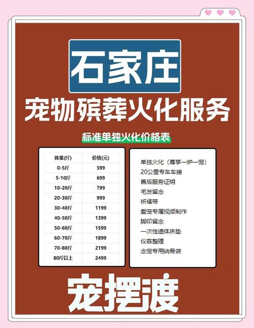 宠物殡葬服务需要什么资质（宠物殡葬行业需要什么手续）