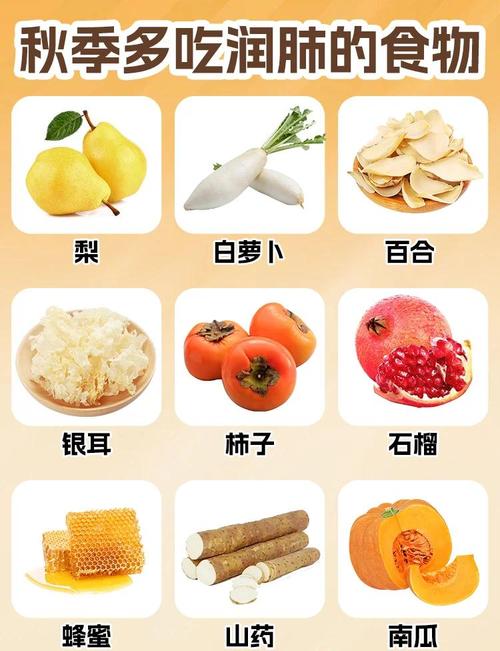 润燥之力最强的食物(润燥吃什么食物)