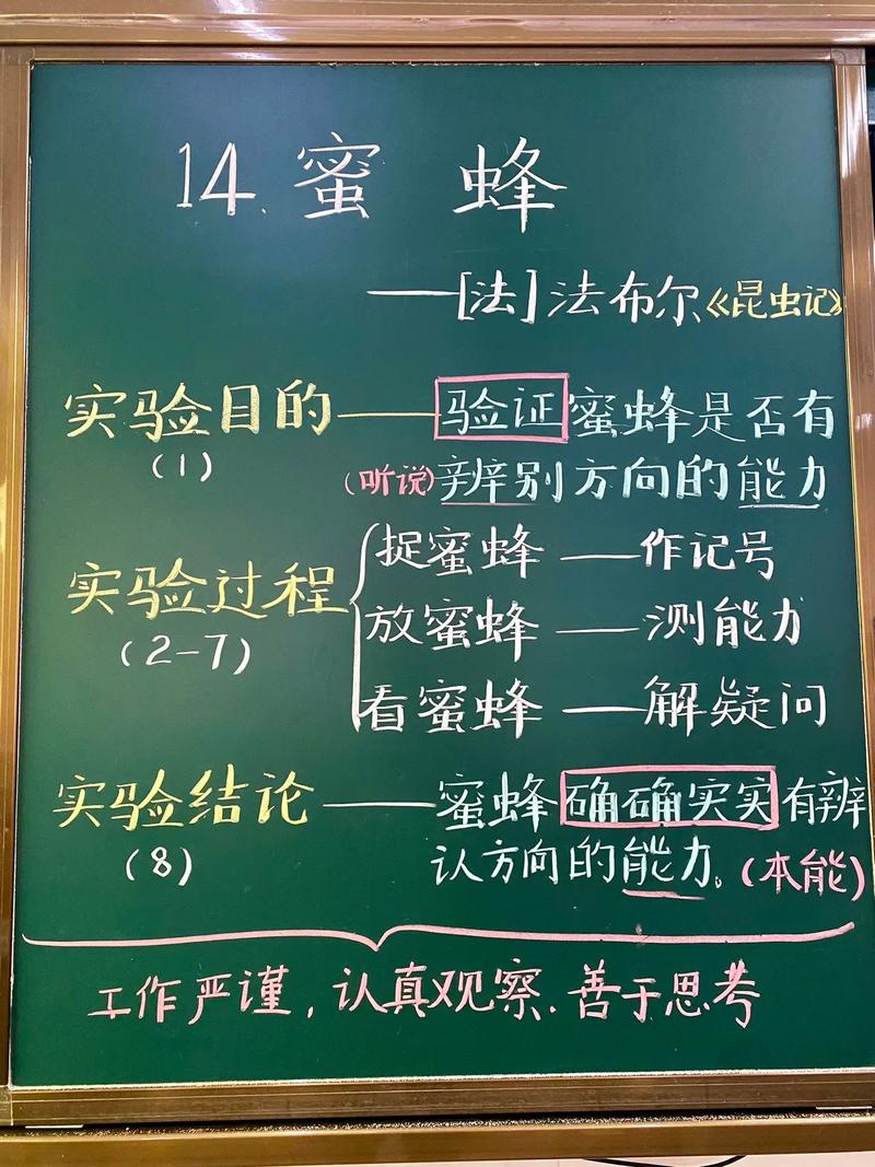 《华安固事》之三 | 吴文明做勤劳的蜜蜂，寻找确定性机会