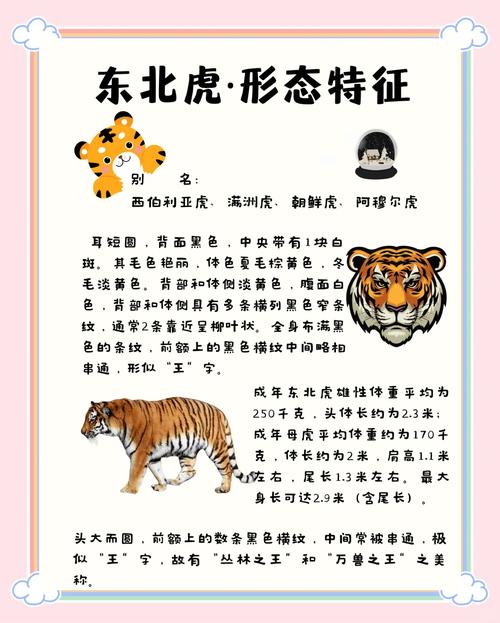 2025年秋老虎有多少天（秋老虎的顺口溜）