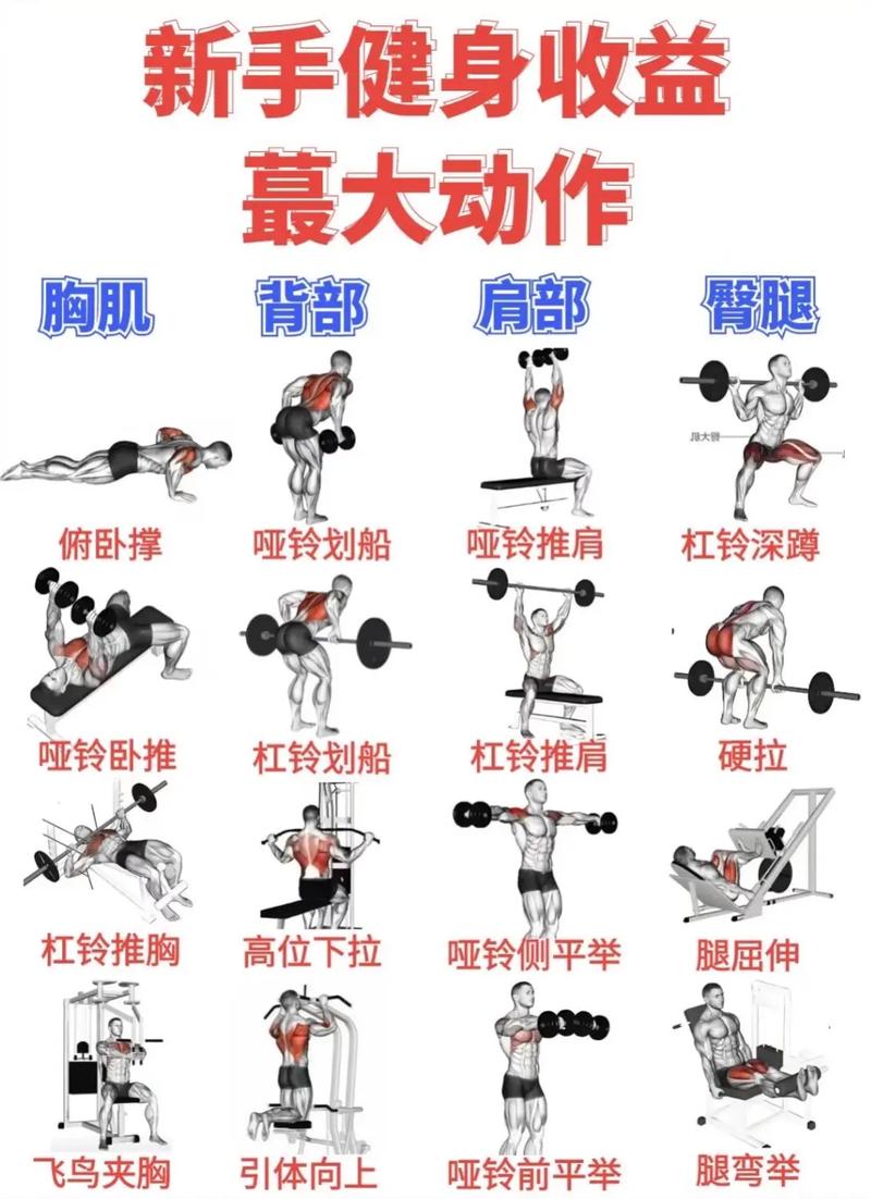 健身环技能树一共多少（健身环技能组合怎么设置）