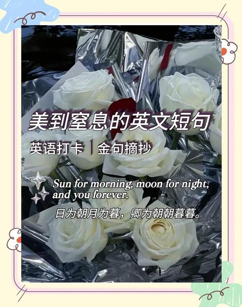 抓住用户痛点的文案短句（抓住用户痛点的文案短句英语）