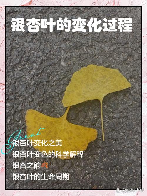 人工树叶原理视频(人造树叶原理)