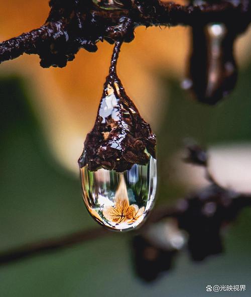 首届全国手机摄影大赛（全国手机摄影比赛）