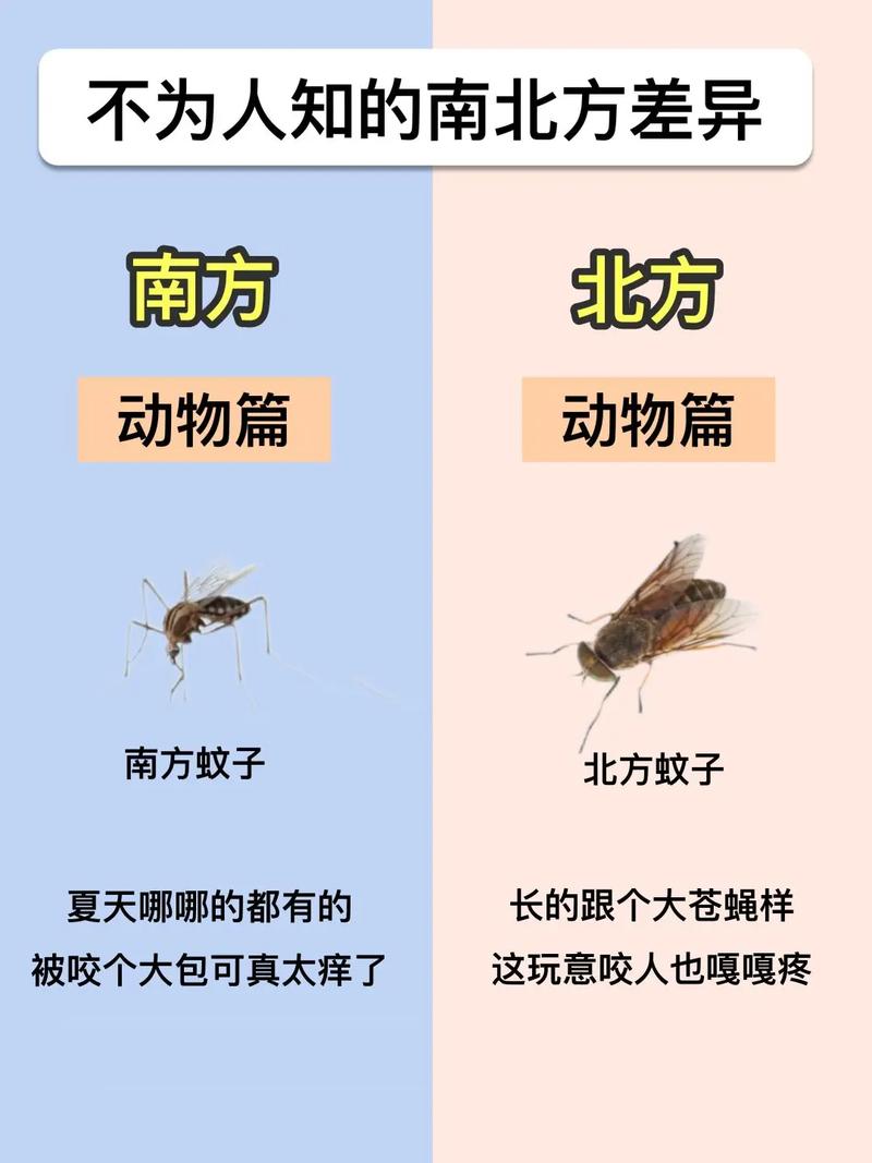 世界经济发展的南北差异（全球南北经济差距）