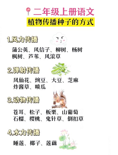 内容传播方式有哪些（内容的传播）